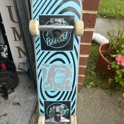 santa cruz skateboard 
