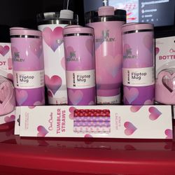 Target Exclusive Stanley Valentines Collection & Accessories 