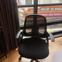Desk Chair (comes with Desk)