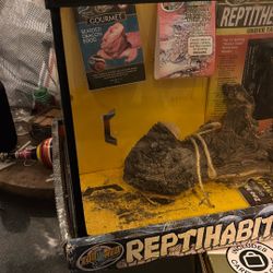 Reptile Tank With Accessories In Good Shape Look At Pics 