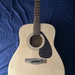Acoustic Guitar