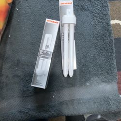 Light Bulb, Compact Fluorescent