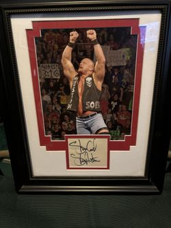 Steve Austin Stone Cold, WWE WWF