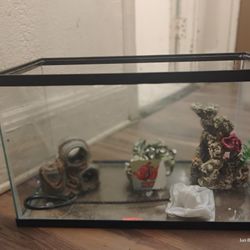 Small Fish Tank 