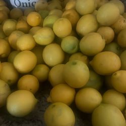 Grocery Bag Of Cleaned Hand Picked Organic Lemons 