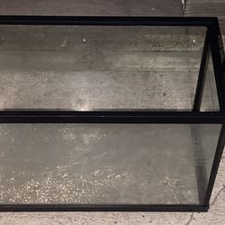 Fish Tank/Tanque De Pescado