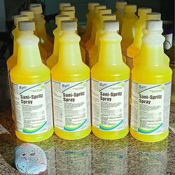 Sani-Spritz Spray  One-Step Disinfectant Cleaner-Deoderizer