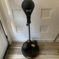 Punching Bag+ Gloves