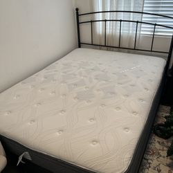 Queen Mattress Bed Bundle