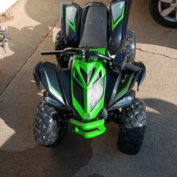 YAMAHA RAPTOR