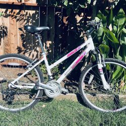 Bikes  $40 Each  