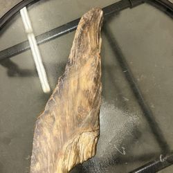 Small Petrified Wood Piece 🪨