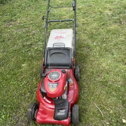 Lawn Mower 