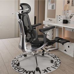 HBADA E3 Pro Ergonomic/Gaming Chair