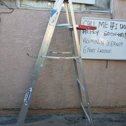 6 Ft Ladder