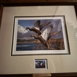 Framed Duck Stamp