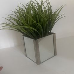2 Mirror Faux Plant 
