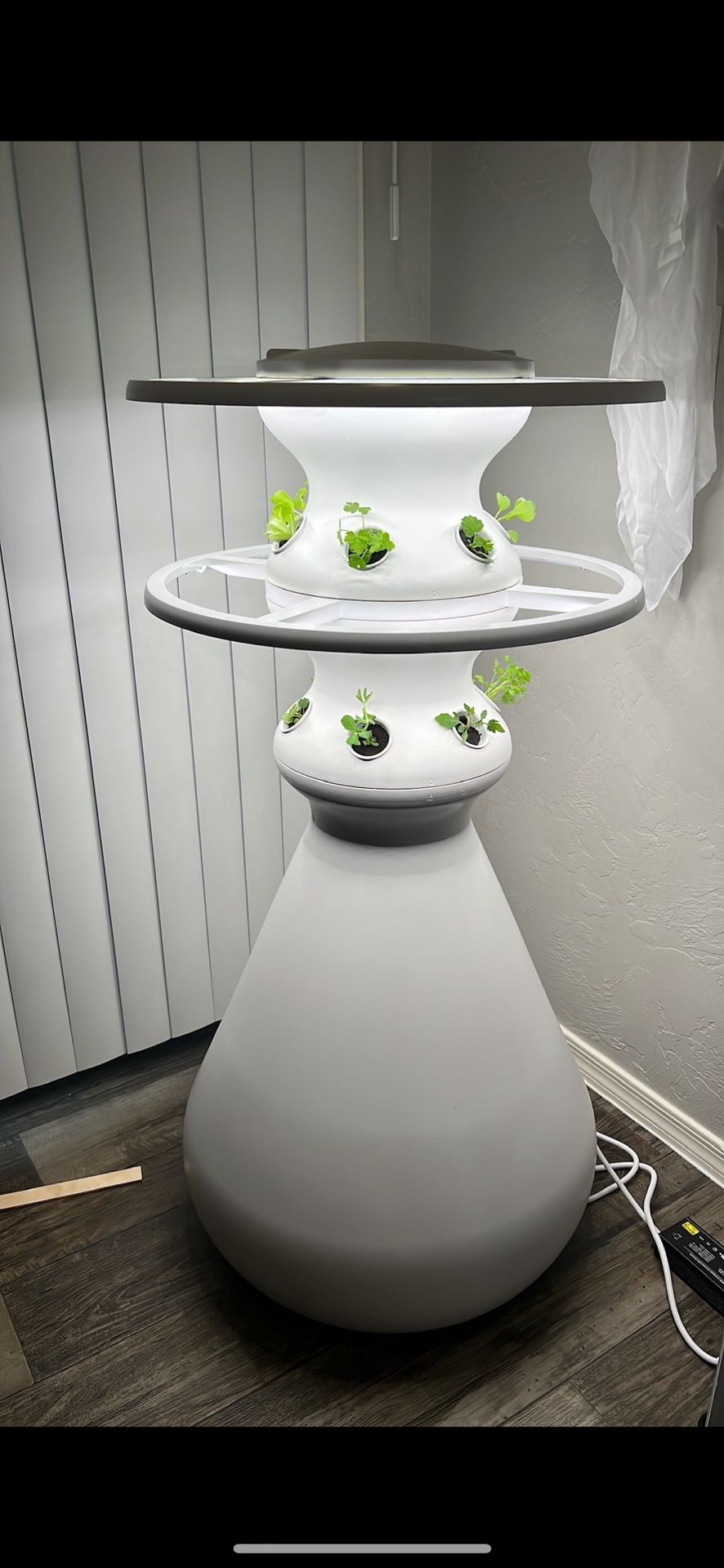 Lettuce Grow indoor Farm stand