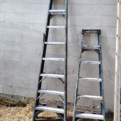 Ladder Werner