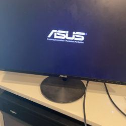 Computer Screen And Lifting table