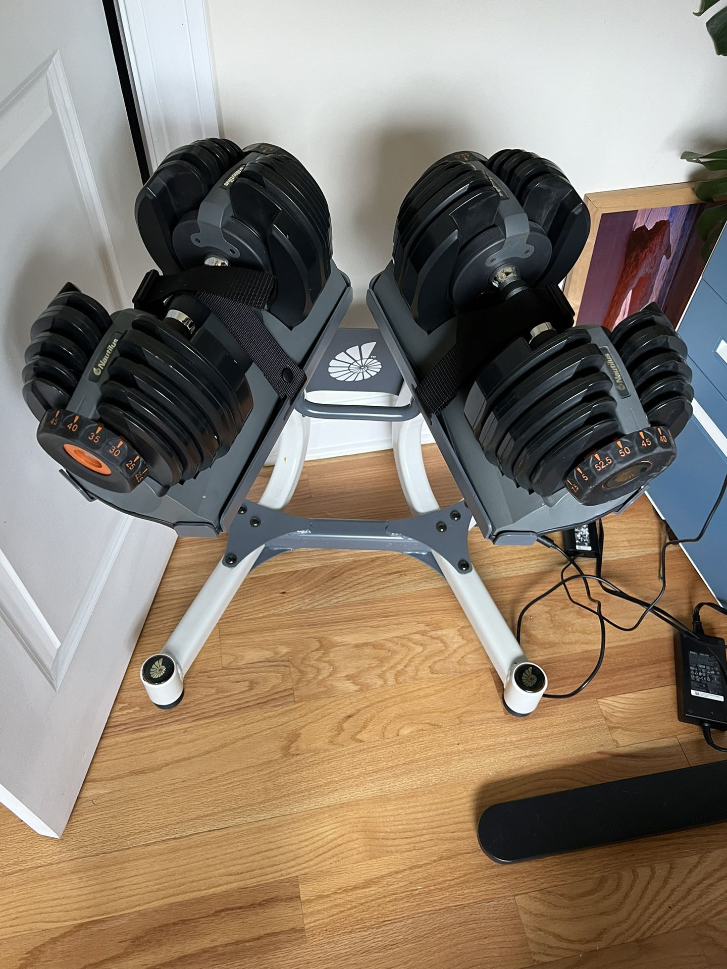 Nautilus adjustable Dumbbells And Stand 