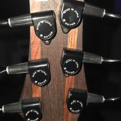 SDGR Soundgear by Ibanez Custom Bass Guitar