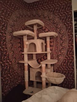 A large cat stand. In good shape