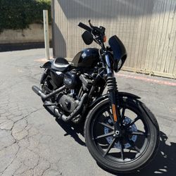 2019 Harley-Davidson Sportster 1200