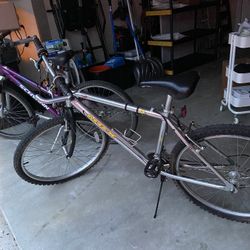 Mongoose MDX Mountain Bike 