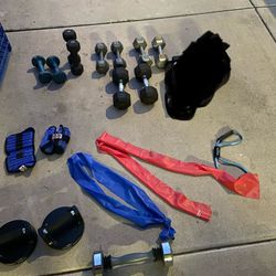 Home Gym Weight Set – Dumbbells, Bands, Push-Up Handles ….