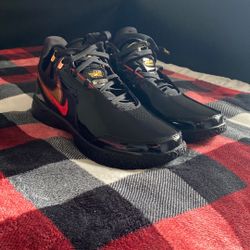Nike Basketball Shoes