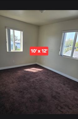Dark Brown Area Rug