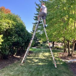 Little Giant 26’ Ladder