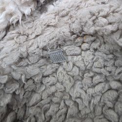 Stainless Steel Dimond Earing 