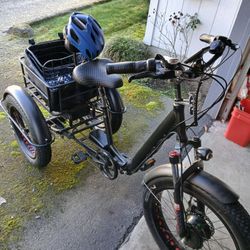 2020 Fat Tire 1900 X Trike