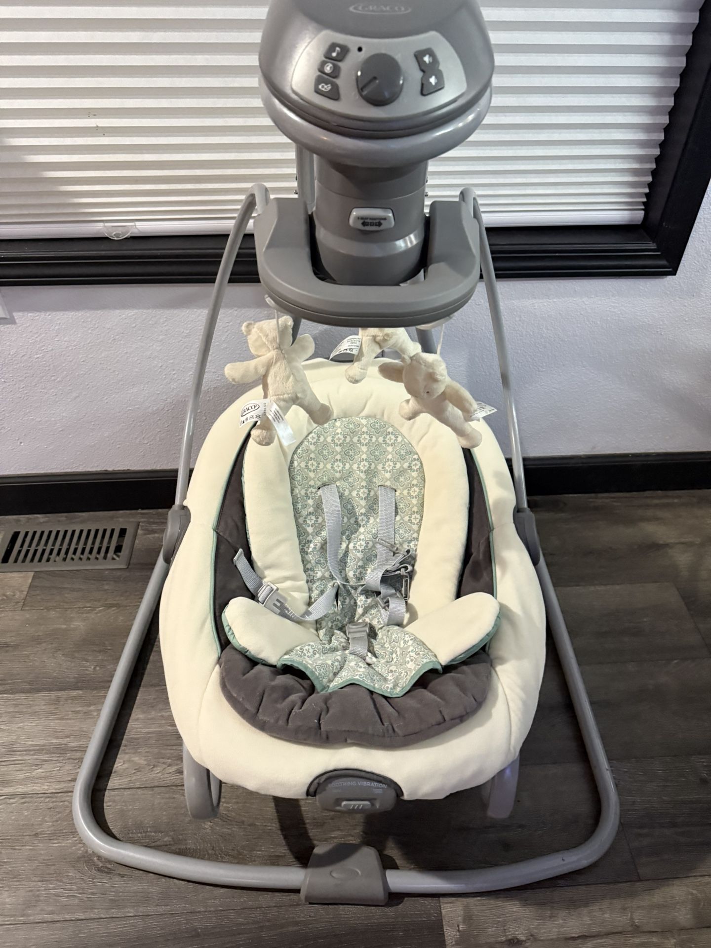 Graco Duetsoothe Swing/Bouncer