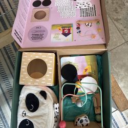 Kiwico Brain—Building For Babies 