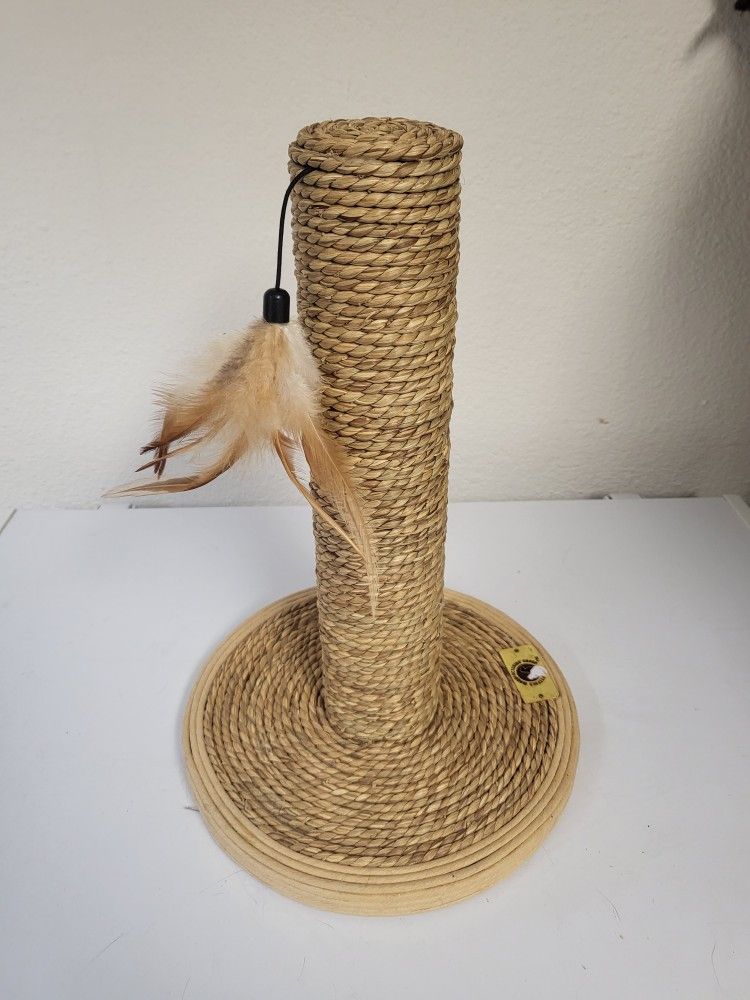 CAT Scratching POST