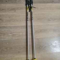 Head Unsex Lightweight Ski Poles 90cm 36"
