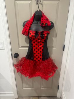 Lady bug costume