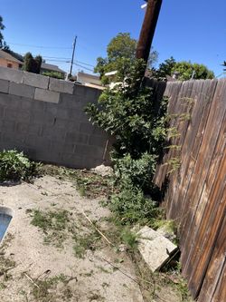 Weed Removal 