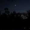 eve