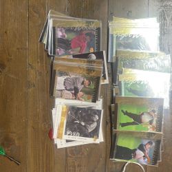 Tiger Woods Upper Deck