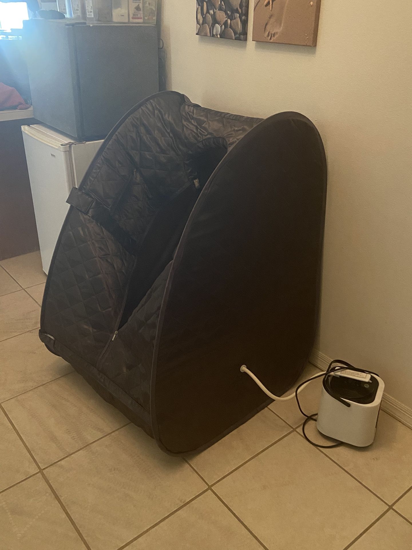 Portable Steamer