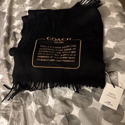 Cashmere Scarf