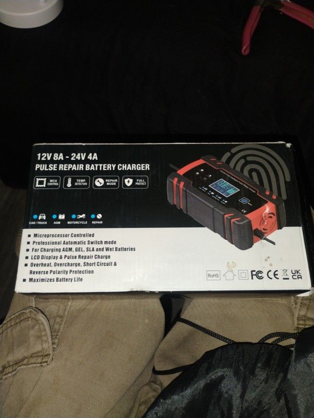 12/24V Fully Intelligent Pulse Repair Charger