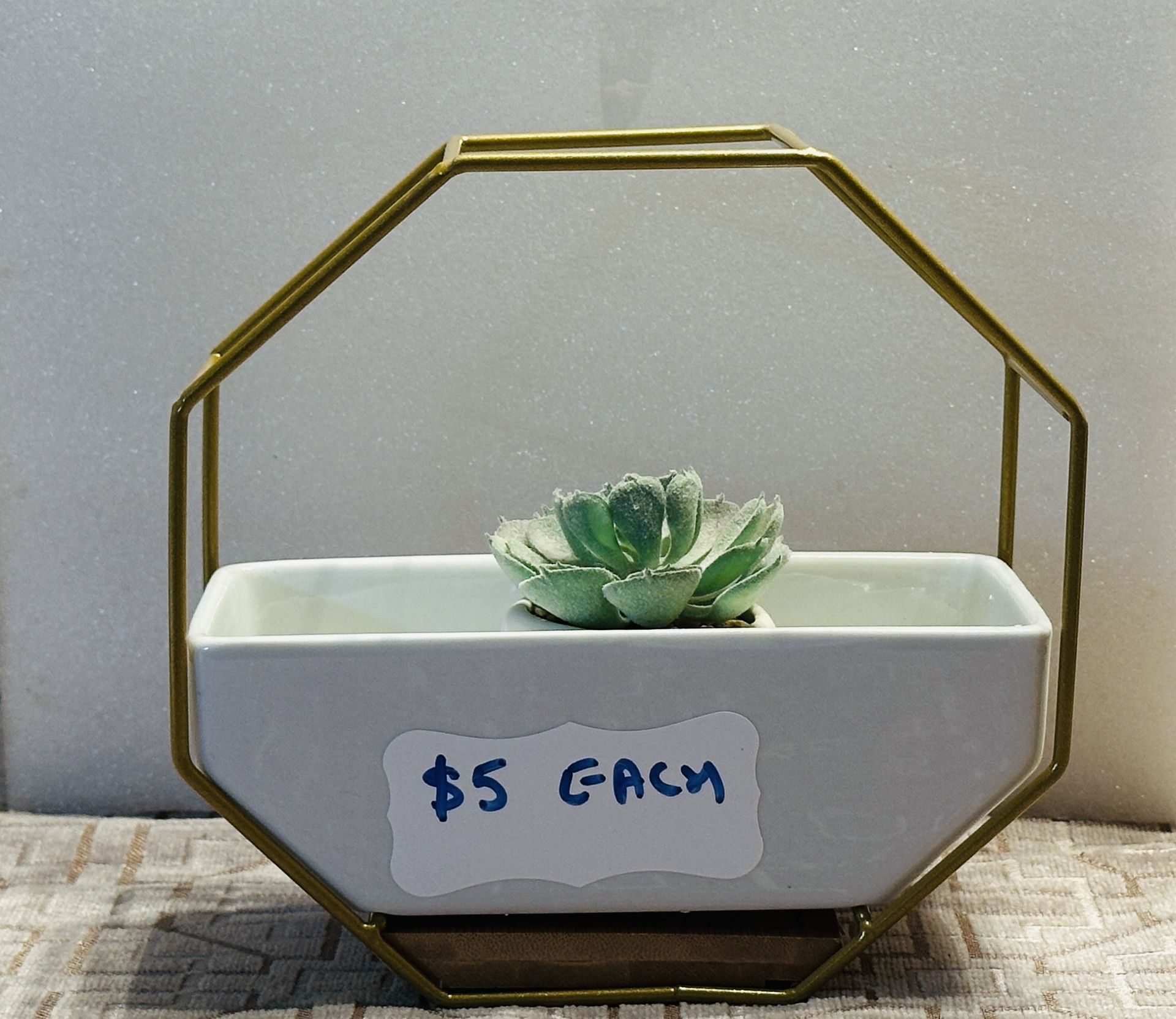 Flower/plant Pot With Metal Holder