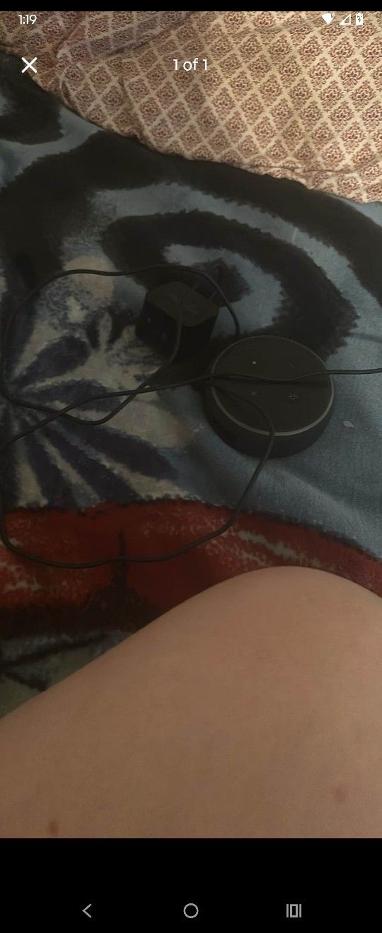 Amazon Alexia Speaker