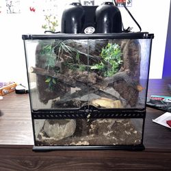 Front Open Reptile Enclosure 