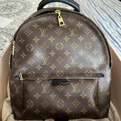 Louis Vuitton MM Palm Springs Backpack